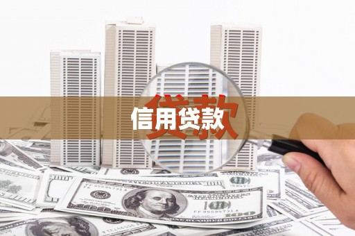 龙山信用贷款