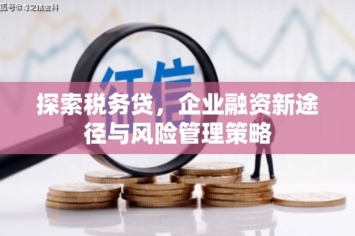 江岸探索税务贷，企业融资新途径与风险管理策略