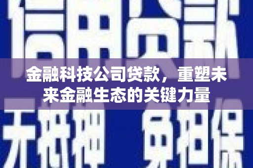龙安金融科技公司贷款，重塑未来金融生态的关键力量