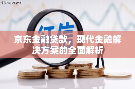 利辛京东金融贷款，现代金融解决方案的全面解析