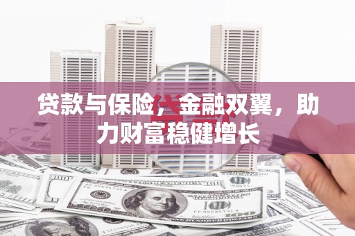 大里贷款与保险，金融双翼，助力财富稳健增长