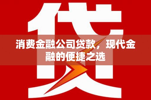 平舆消费金融公司贷款，现代金融的便捷之选