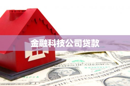 新界金融科技公司贷款