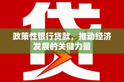 于洪政策性银行贷款，推动经济发展的关键力量