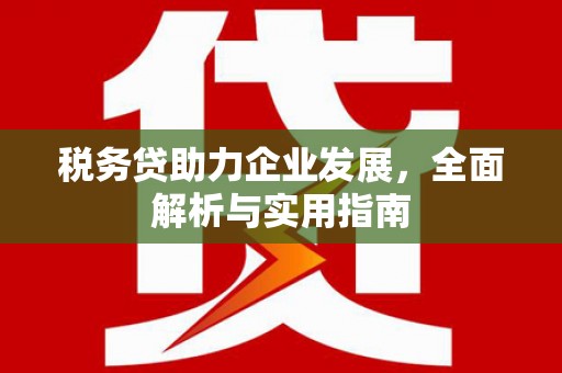 瓮安税务贷助力企业发展，全面解析与实用指南