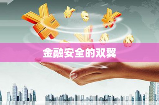 中和金融安全的双翼