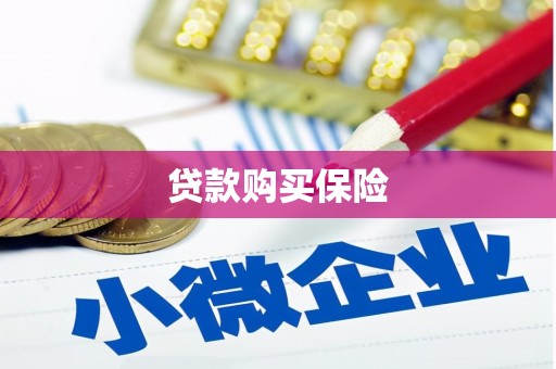 普兰店贷款购买保险