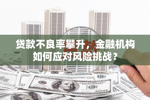 枣阳贷款不良率攀升，金融机构如何应对风险挑战？