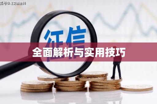 全南全面解析与实用技巧
