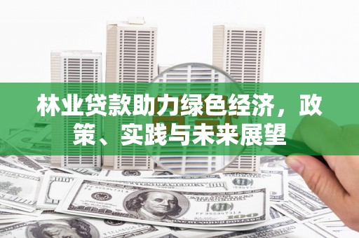井冈山林业贷款助力绿色经济，政策、实践与未来展望