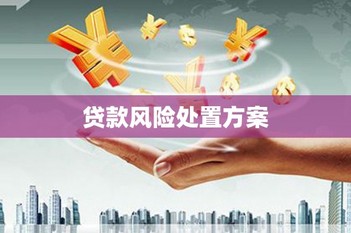 定结贷款风险处置方案