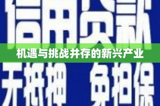 苏家屯机遇与挑战并存的新兴产业
