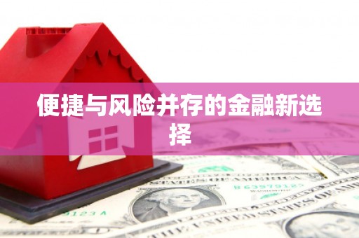 大余便捷与风险并存的金融新选择