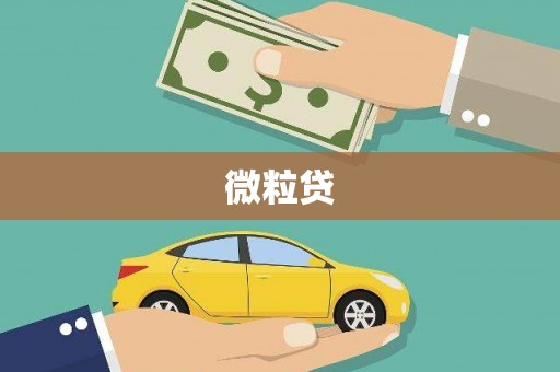 修文微粒贷