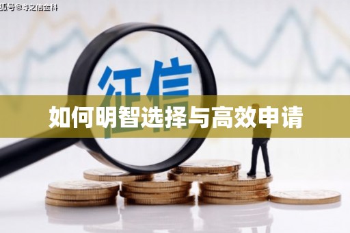 平顶山如何明智选择与高效申请