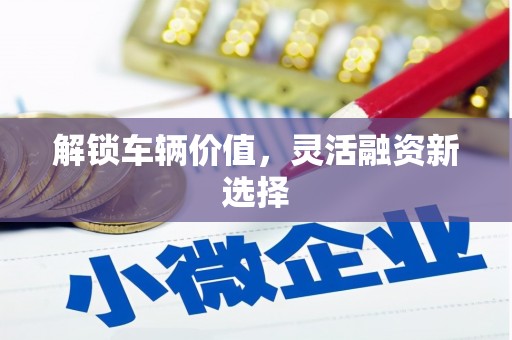 阿莲解锁车辆价值，灵活融资新选择