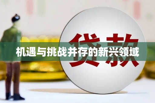恒山机遇与挑战并存的新兴领域