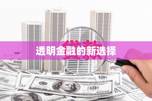 延津透明金融的新选择