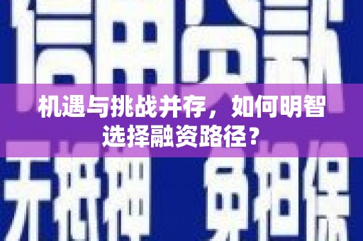 紫阳机遇与挑战并存，如何明智选择融资路径？