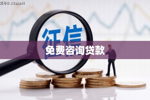 水林免费咨询贷款