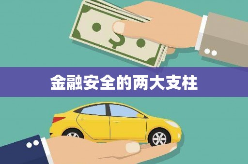 湟源金融安全的两大支柱