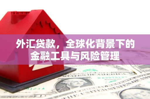 江阴外汇贷款，全球化背景下的金融工具与风险管理