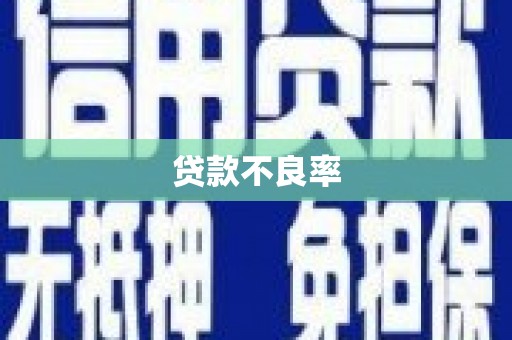 黄梅贷款不良率