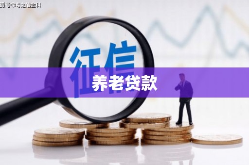 达日养老贷款