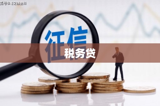 碌曲税务贷